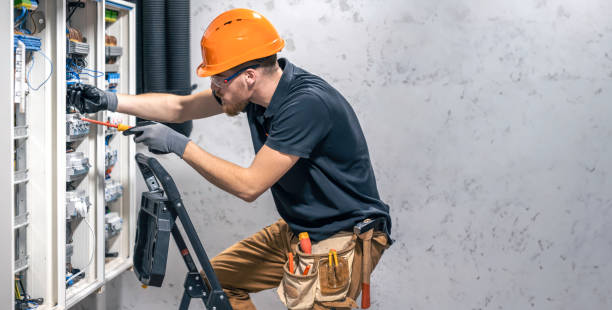 Best Electric Panel Repair  in West Mountain, UT